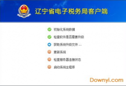 河北省电子税务局,便捷高效税务服务新体验