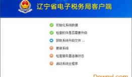 河北省电子税务局,便捷高效税务服务新体验
